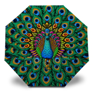 Peacock Umbrella
