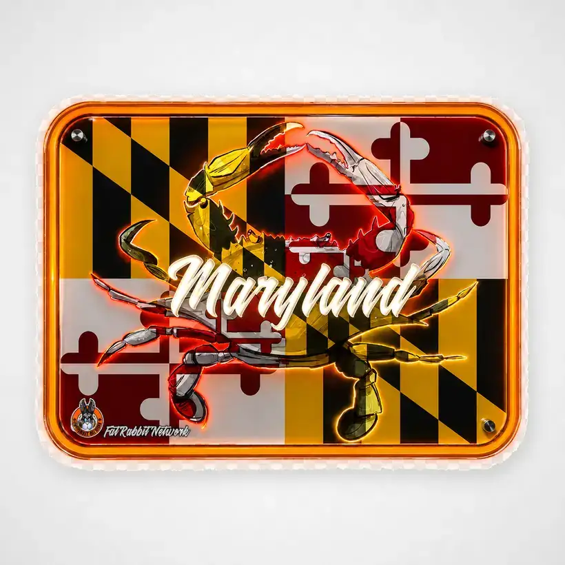 Maryland Plate LED wall art, unlit